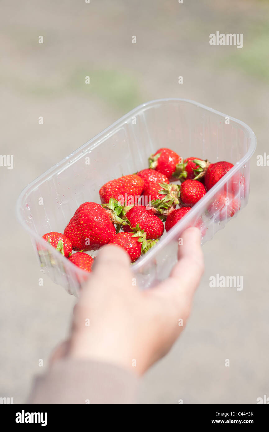 Strawberries in tray hi-res stock photography and images - Alamy