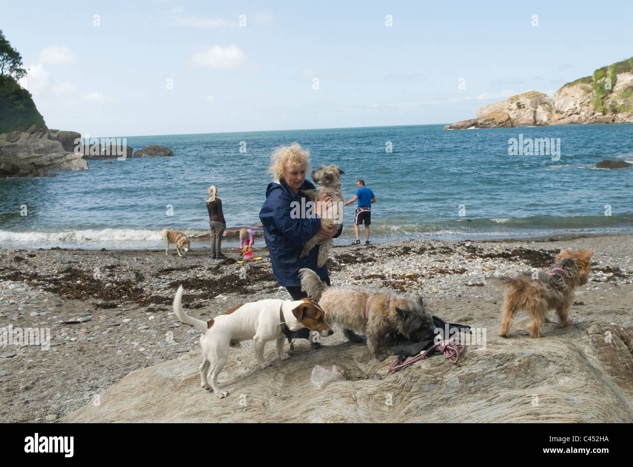 Combe Martin Devon Exmoor England. The dog beach one of two beaches