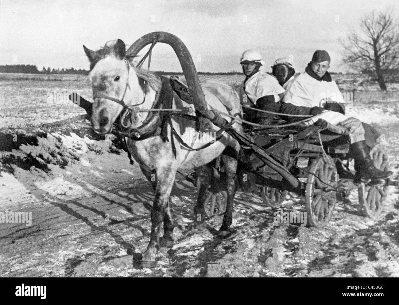 German soldiers on a Panje wagon, 1941 Stock Photo