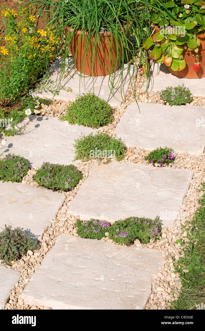 Stepping stones with herbs growing inbetween them Stock Photo Alamy