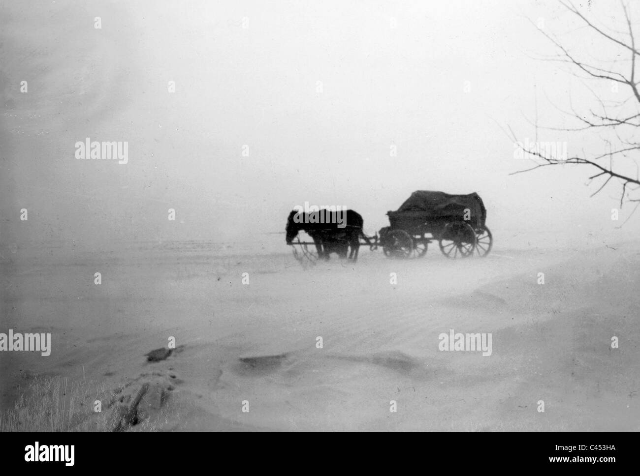 Panje-horse wagon in snow on the Eastern front, 1941 Stock Photo