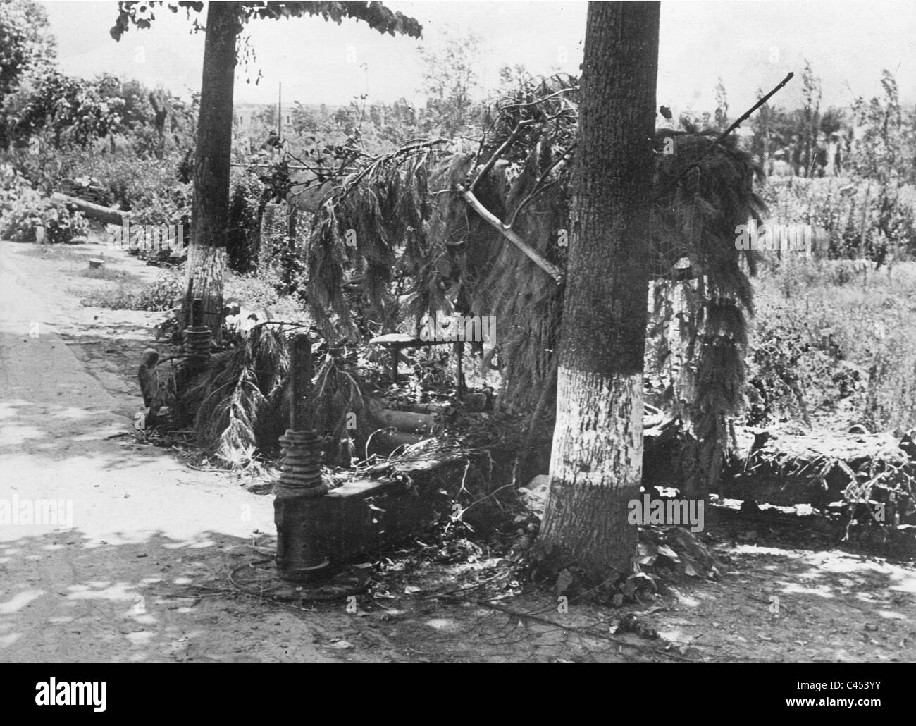 German 88mm Flak in Italy, 1944 Stock Photo - Alamy