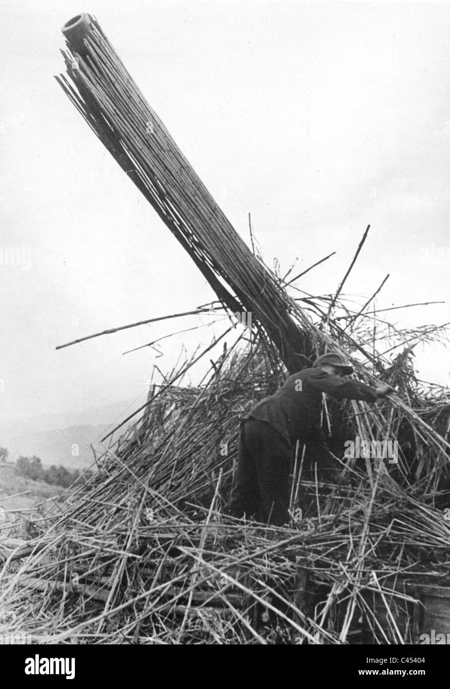 German artillery gun in Italy, 1944 Stock Photo