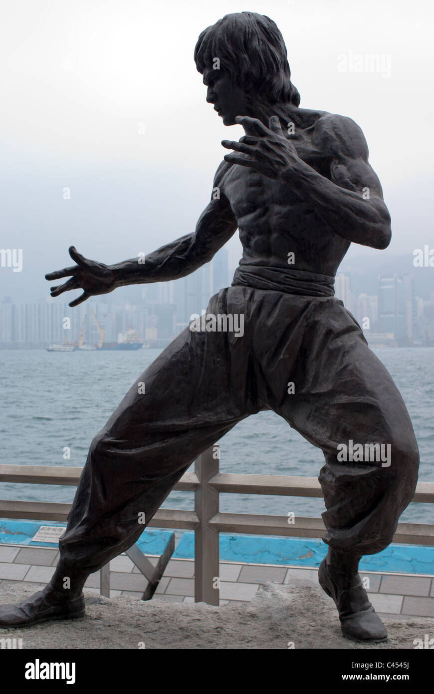 Bruce lee best sale chinese