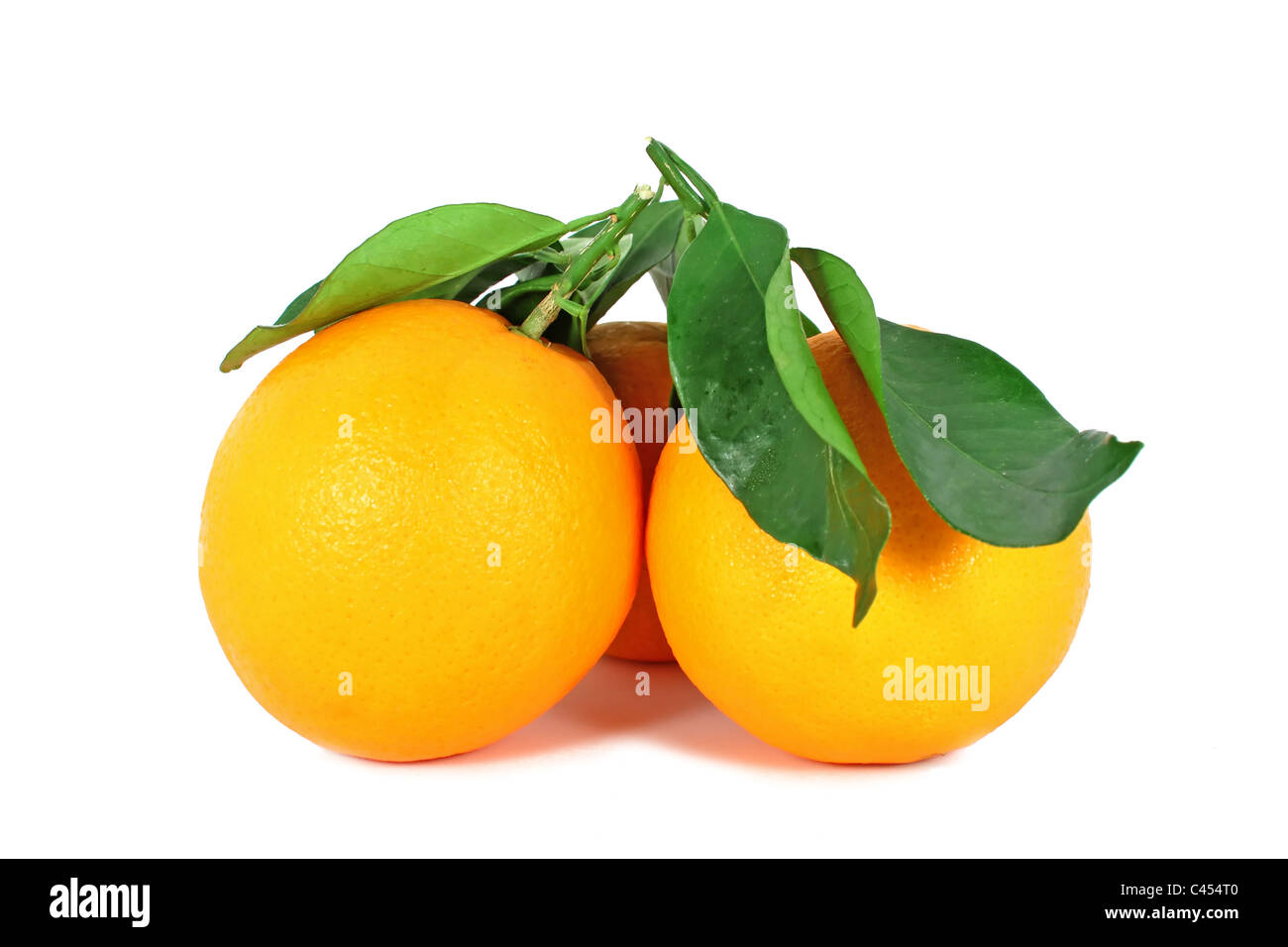 Two ripe oranges with leaves isolated on white Stock Photo Alamy