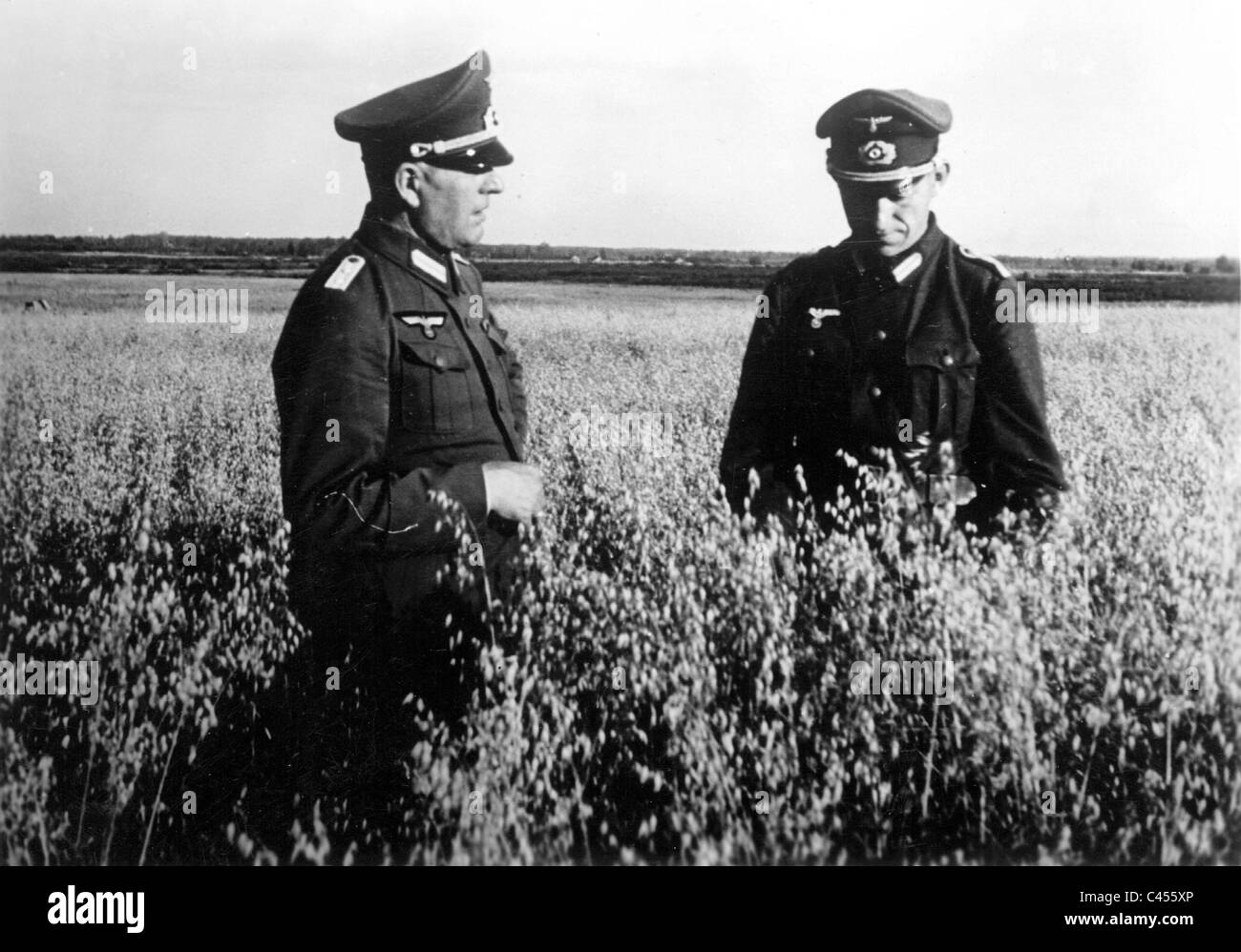 German Agricultural Leaders oversee the harvest, 1942 Stock Photo