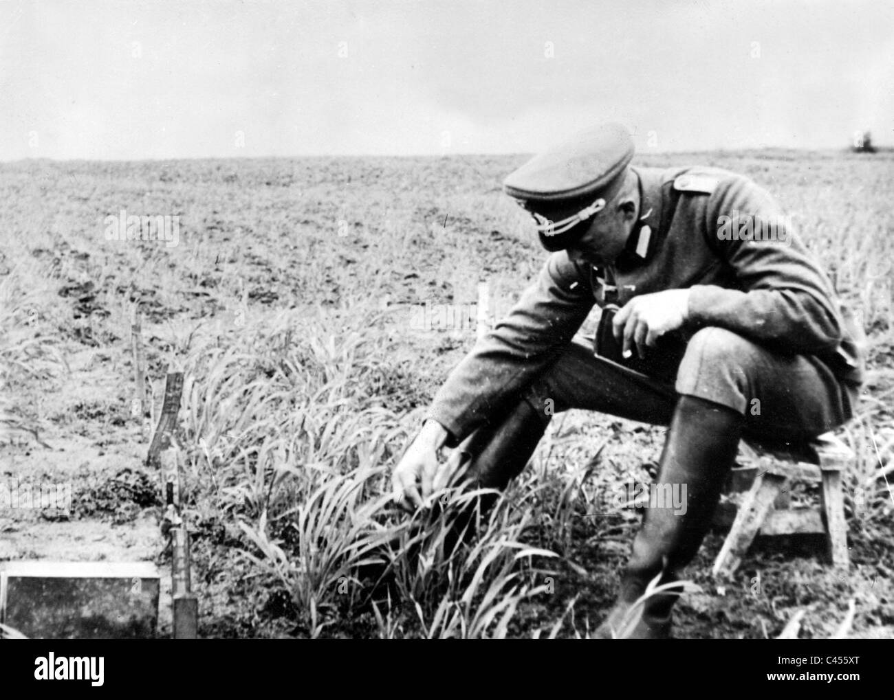 German Agricultural Leader reviews the sowing in Russia Stock Photo