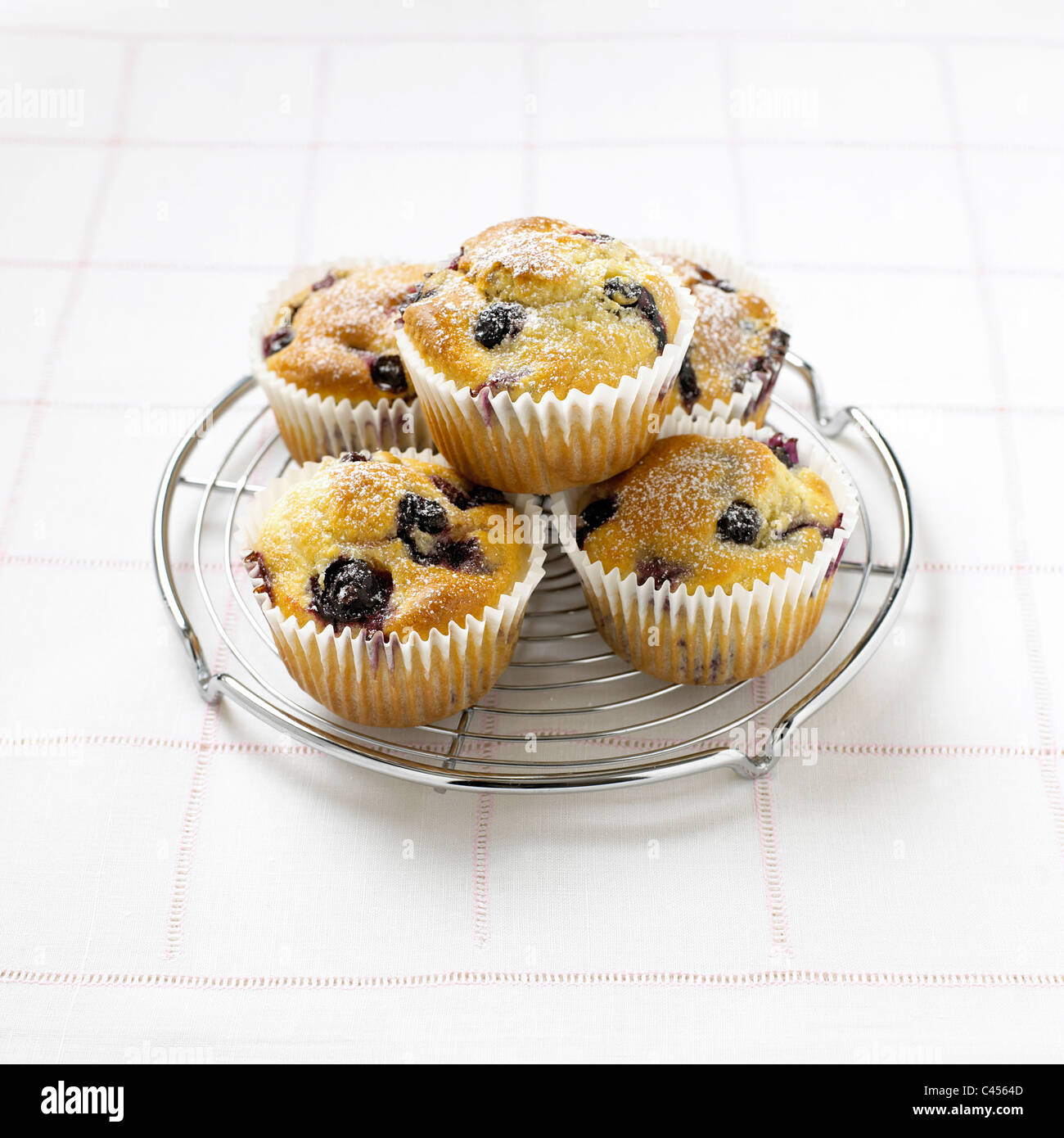 Blueberry muffins on cooling rack, close-up Stock Photo