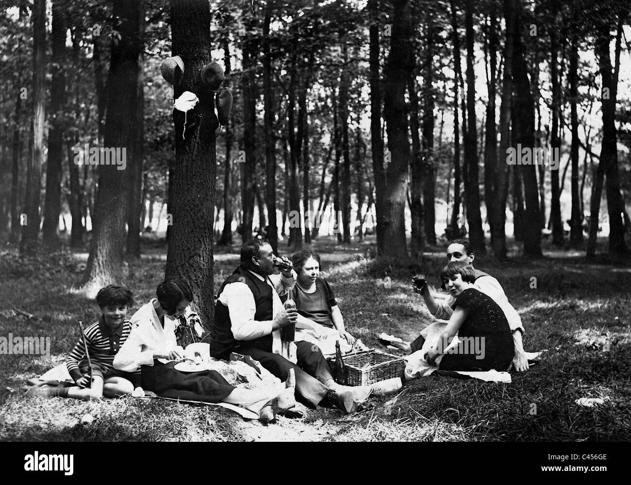 Family picnic in the woods Stock Photo