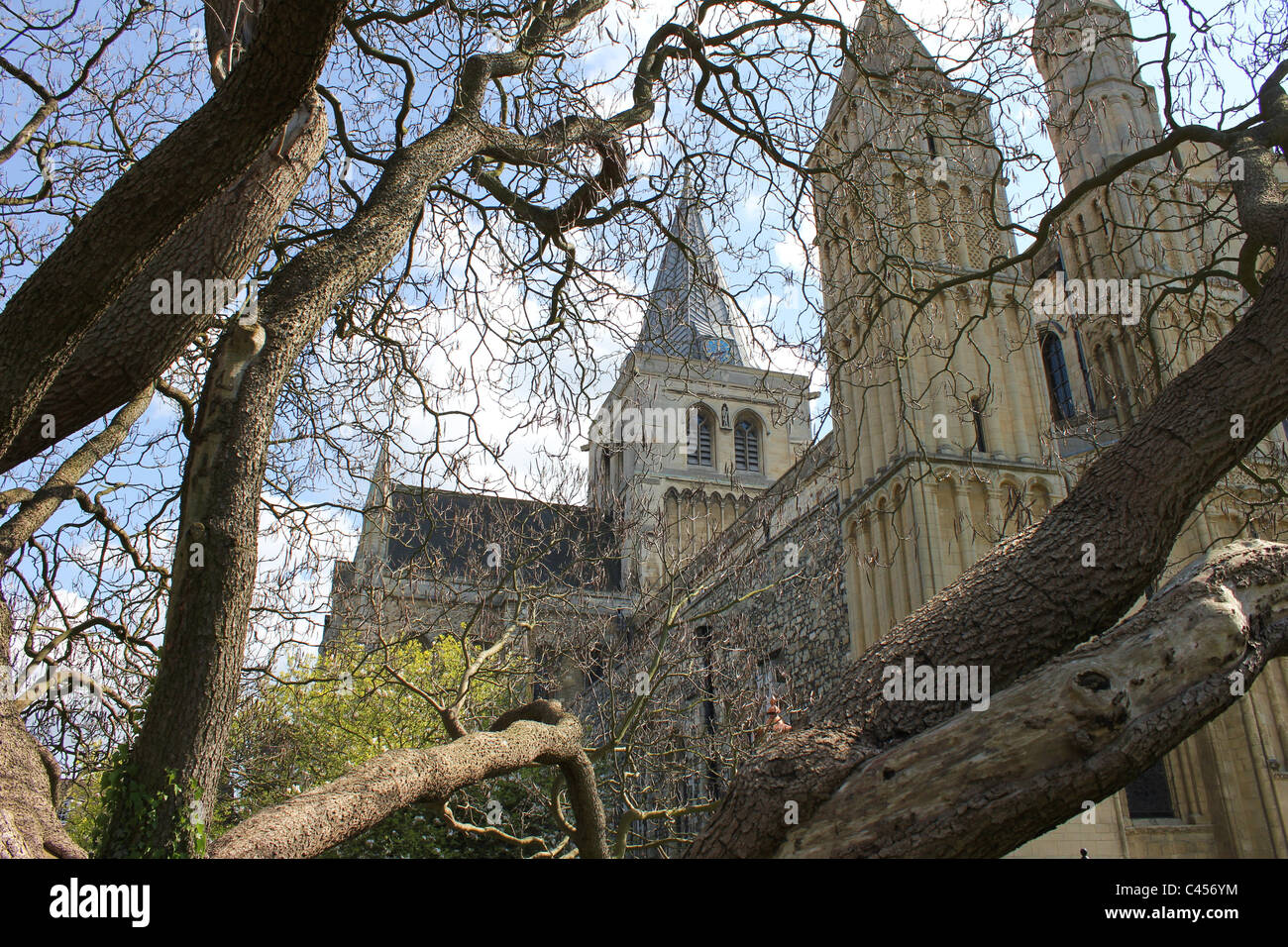 View through trees of Rochester Cathedral , Kent Stock Photo - Alamy