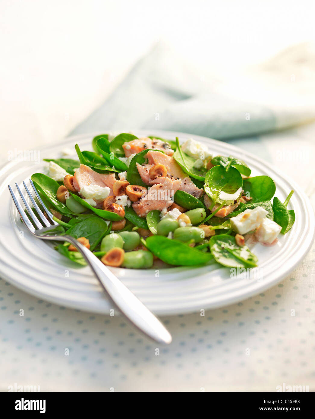 Salmon and spinach salad on plate, close-up Stock Photo