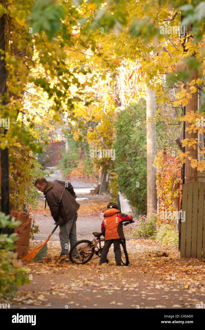 Autumn scene  in an alley  Plateau Mont Royal Montreal Canada Stock Photo
