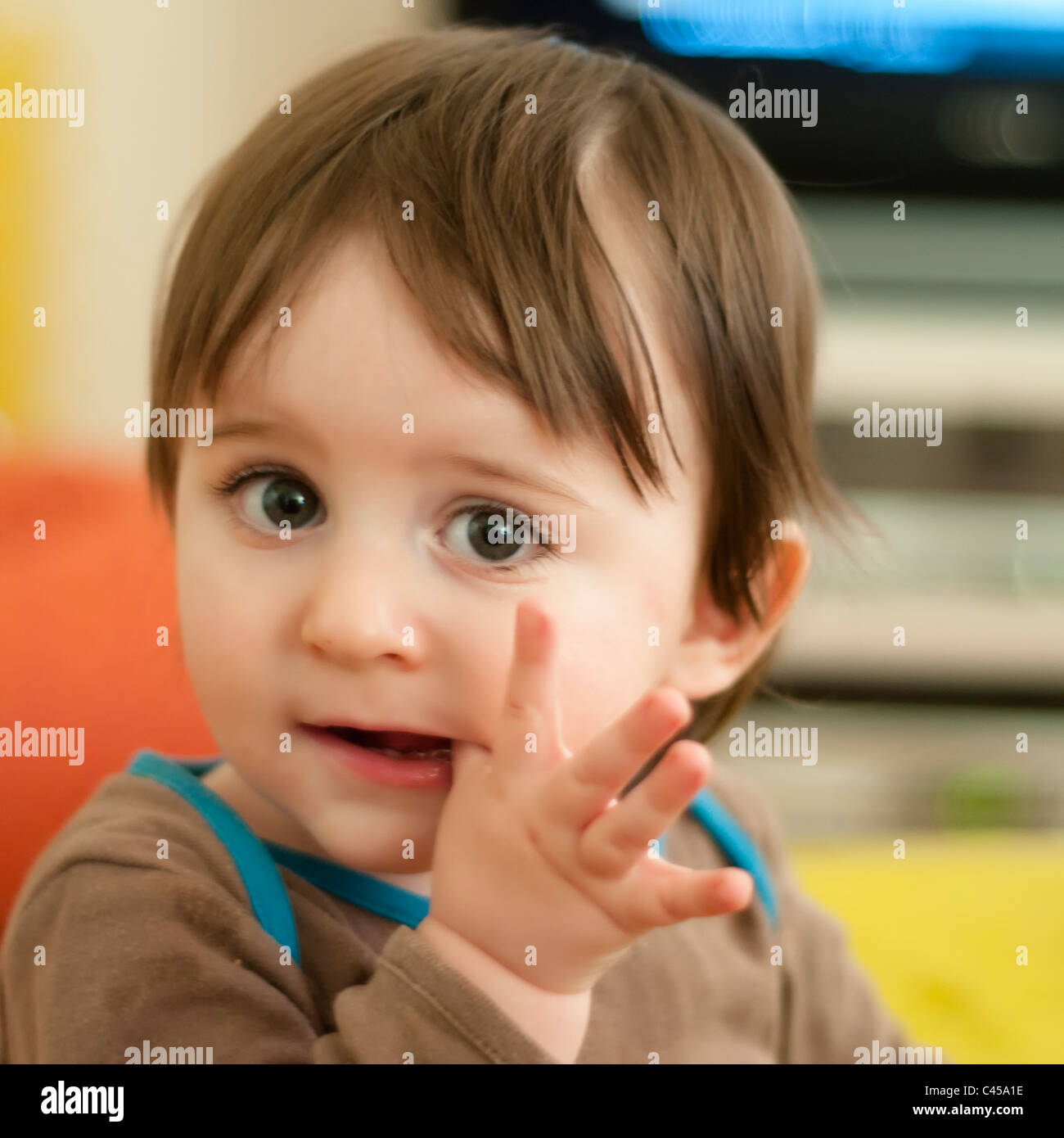 1 and a half years old toddlermodel released Stock Photo Alamy
