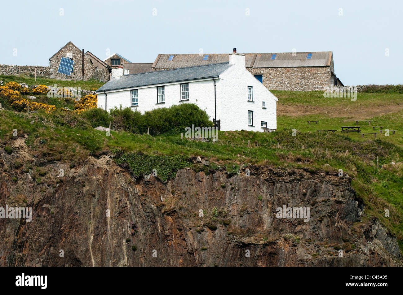 Ramsey Island, RSPB Nature Reserve, North Pembrokeshire, Wales Stock