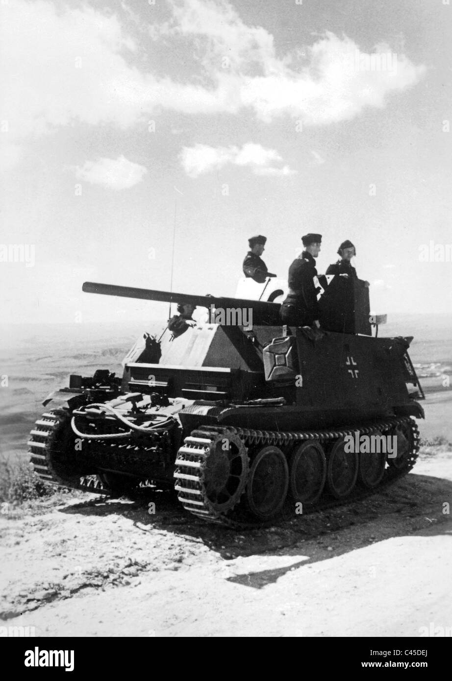 German tank destroyer in Russia Stock Photo Alamy