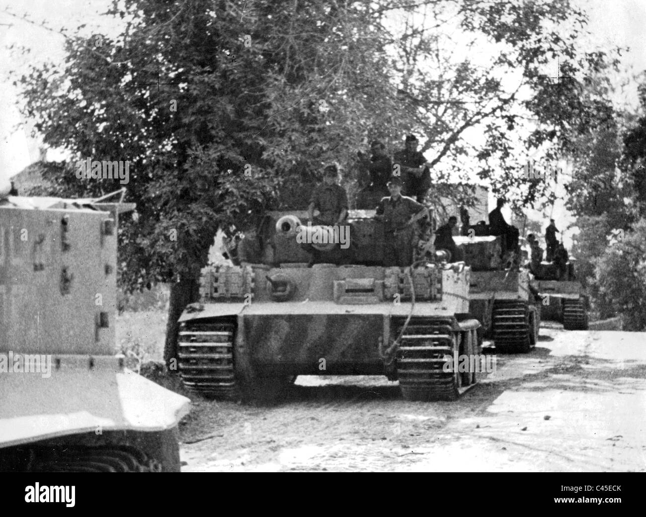 Panzer VI Tiger in Russia Stock Photo - Alamy