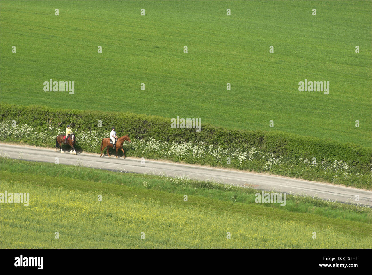 Riding horse on country lane hi-res stock photography and images - Alamy