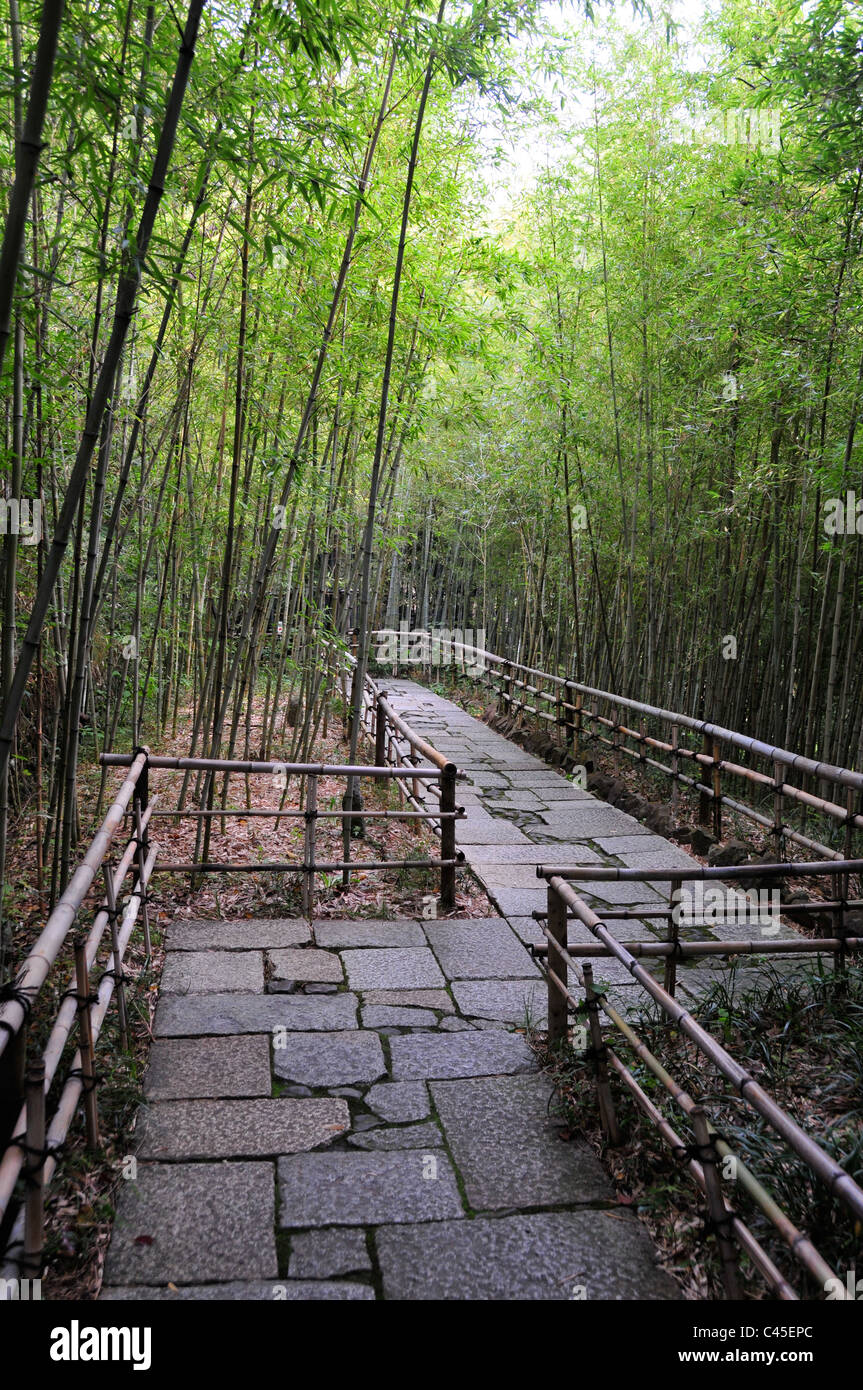 A peaceful bamboo walkway winds through Shikoku Mura Village in