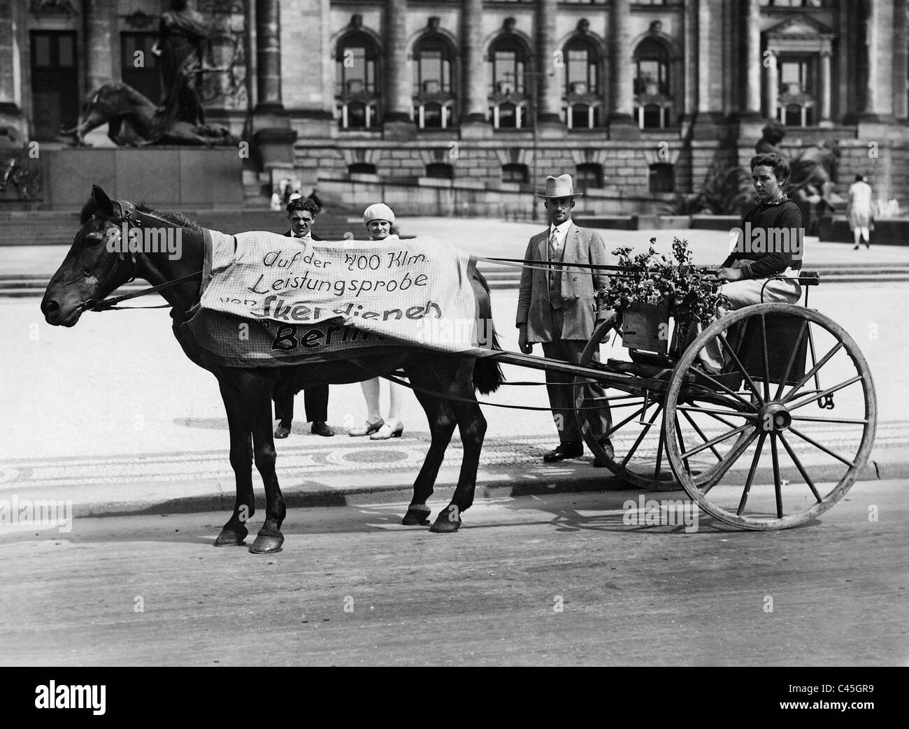Horse And Cart High Resolution Stock Photography and Images Alamy