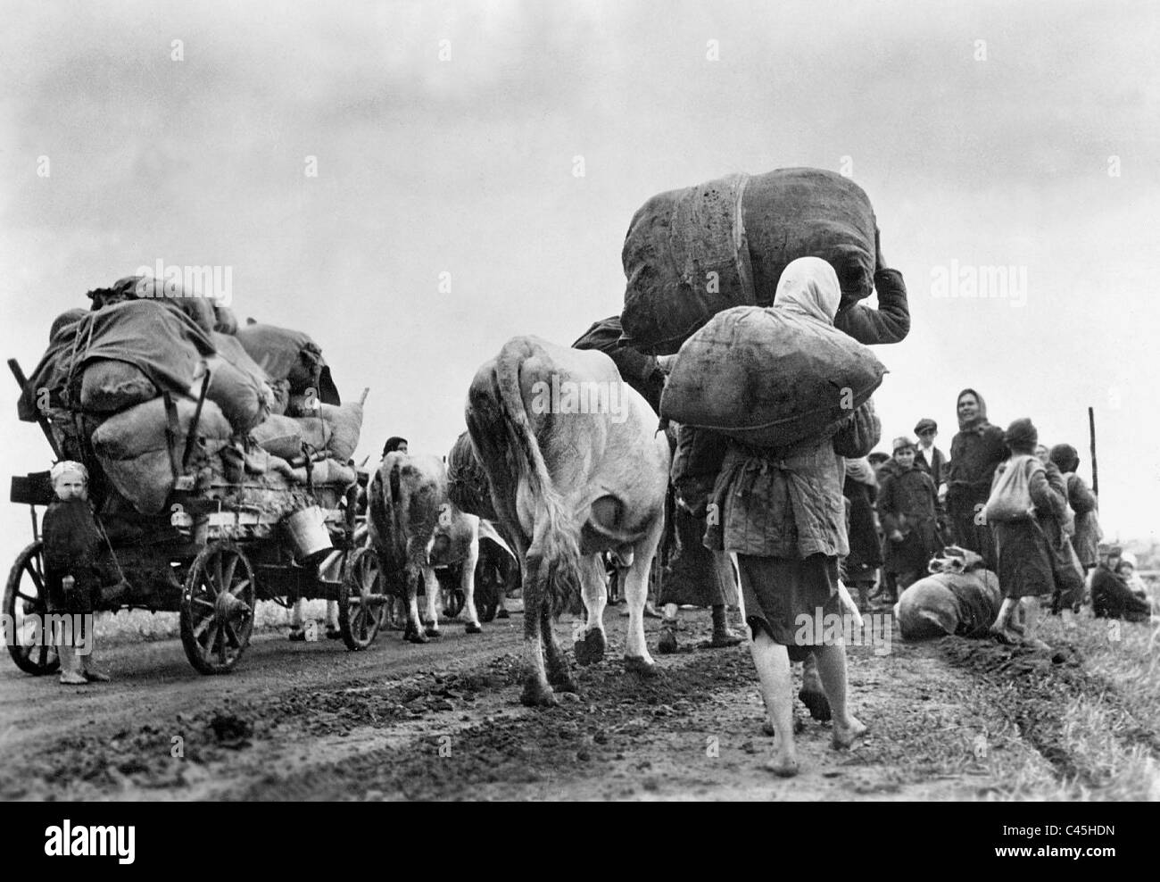 Forced relocation of the Russian population on the Eastern Front, 1943