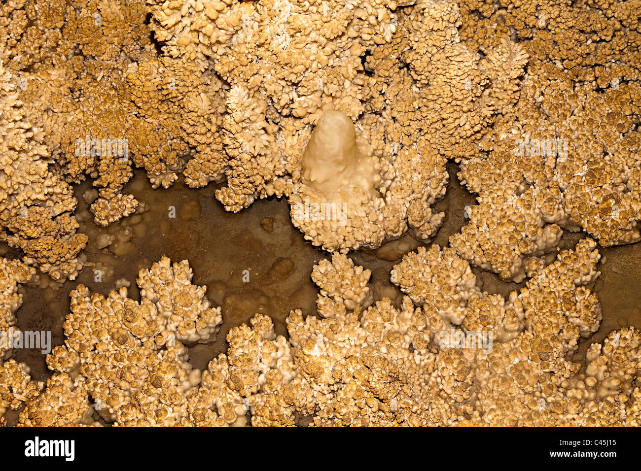 Popcorn calcite cave formations Caverns of Sonora Texas USA Stock Photo