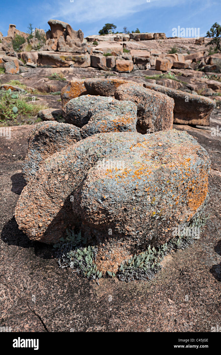 Lichen on granite rocks in Enchanted Rock State Natural Area Texas USA ...