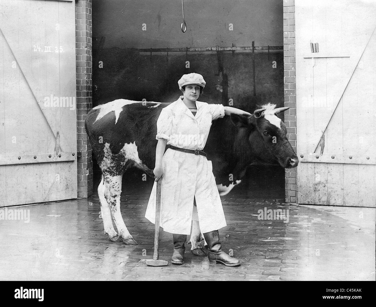 Female butcher cow hi-res stock photography and images - Alamy