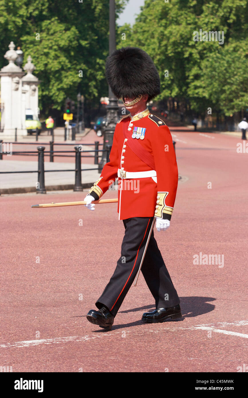 Queen's guard on Parade duties, Buckingham Palace, United Kingdom. Stock Photo