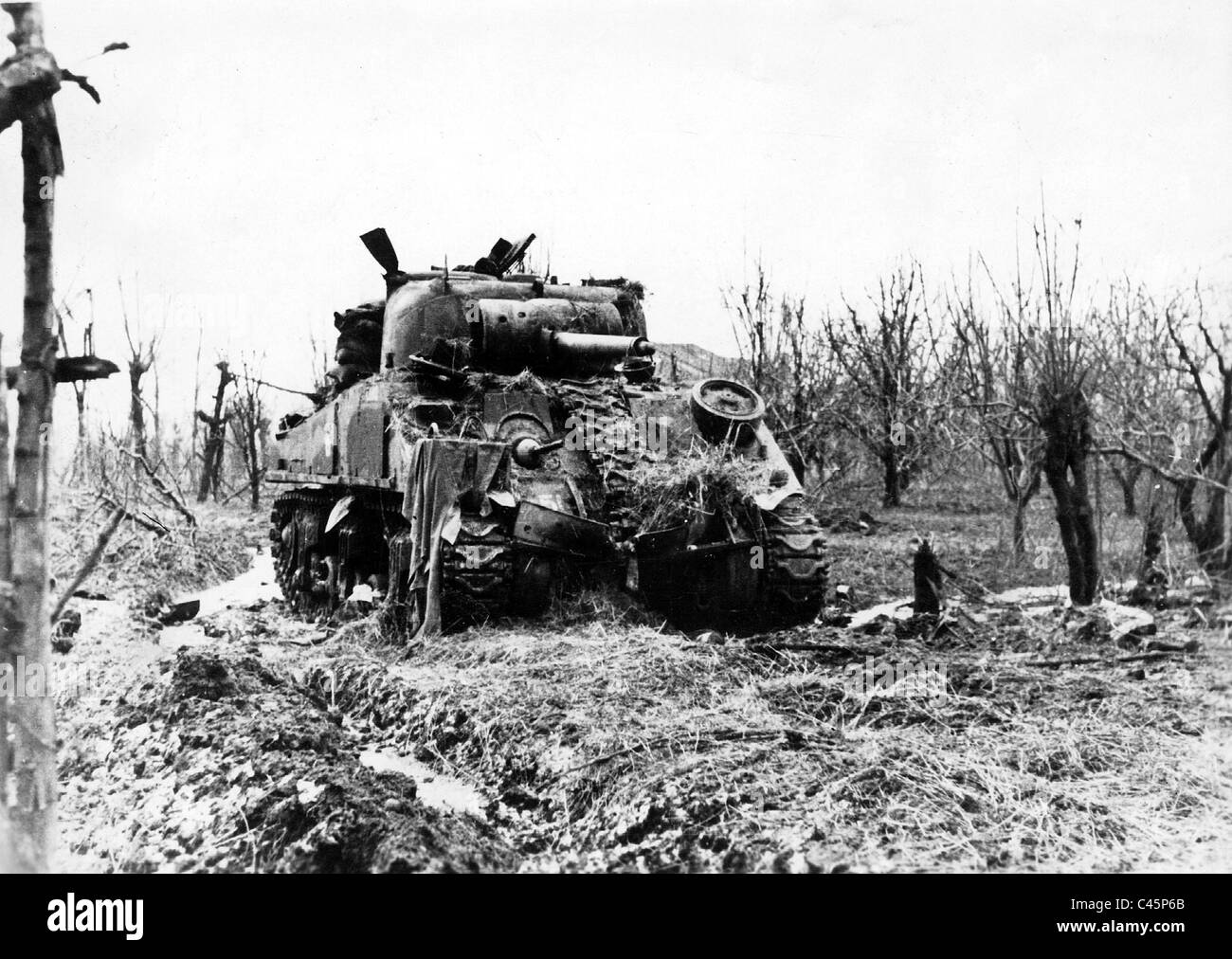 American Ww2 Tanks Destroyed