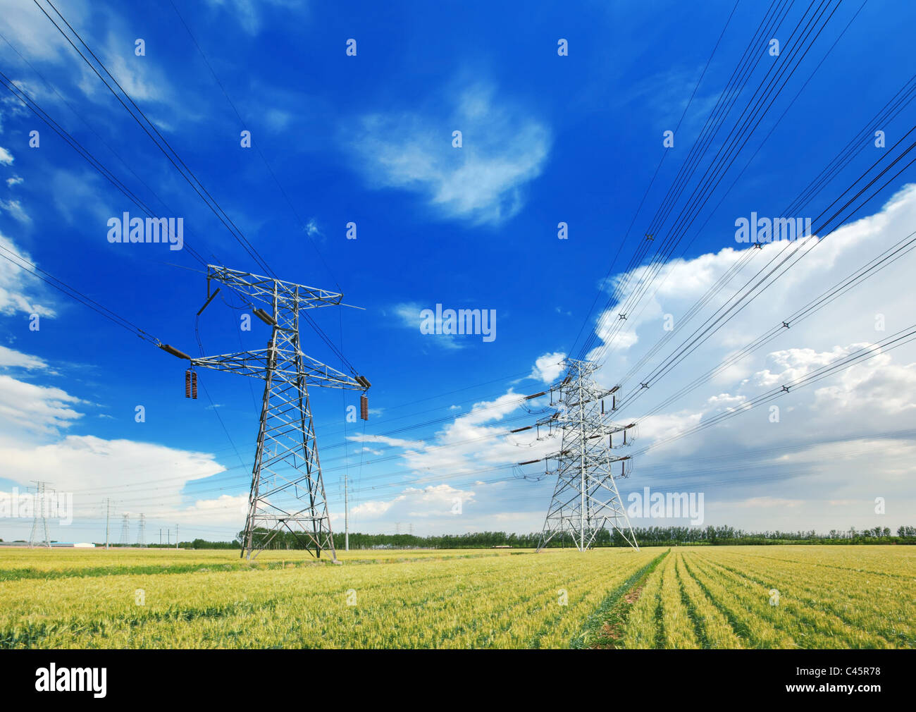 High voltage power lines above wheat field Stock Photo