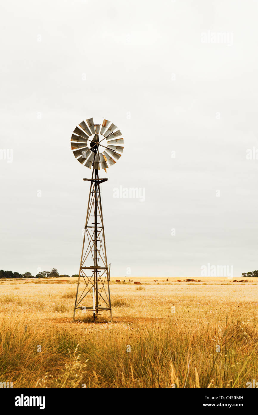 Windmill on pastures near Esperance, Western Australia, Australia Stock Photo