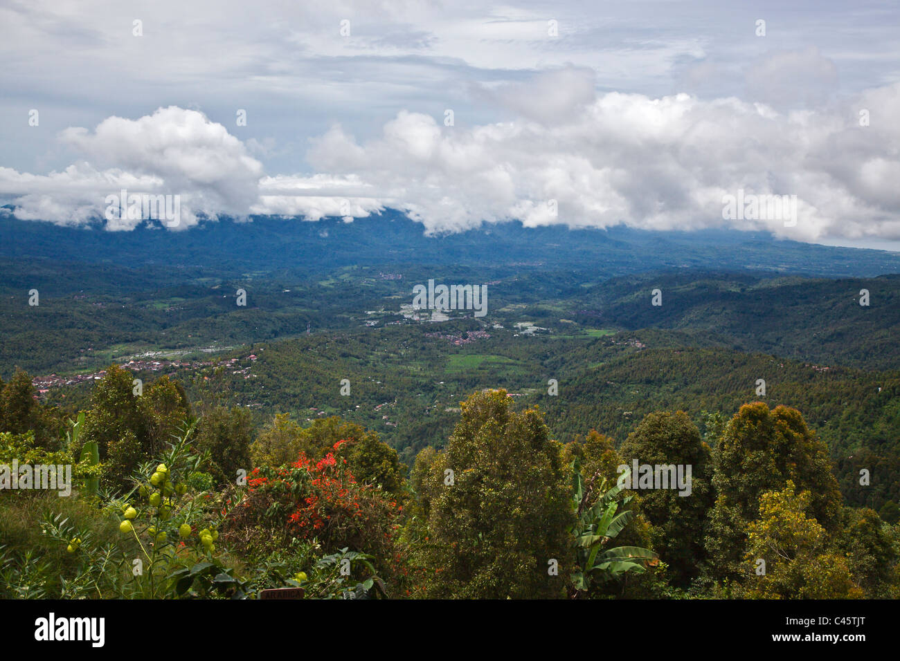View of MUNDUK north of the DANAU BRATAN AREA in the central highlands - BALI, INDONESIA Stock Photo