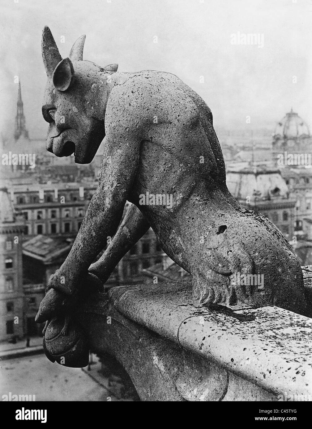 Paris gargoyles notre dame not gargoyle Black and White Stock Photos