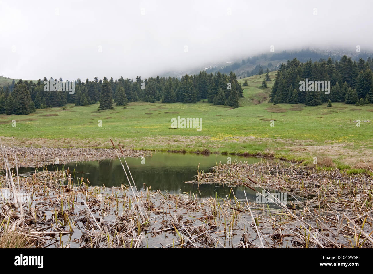 Alpine marsh and meadows on Oiti mount, central Greece Stock Photo