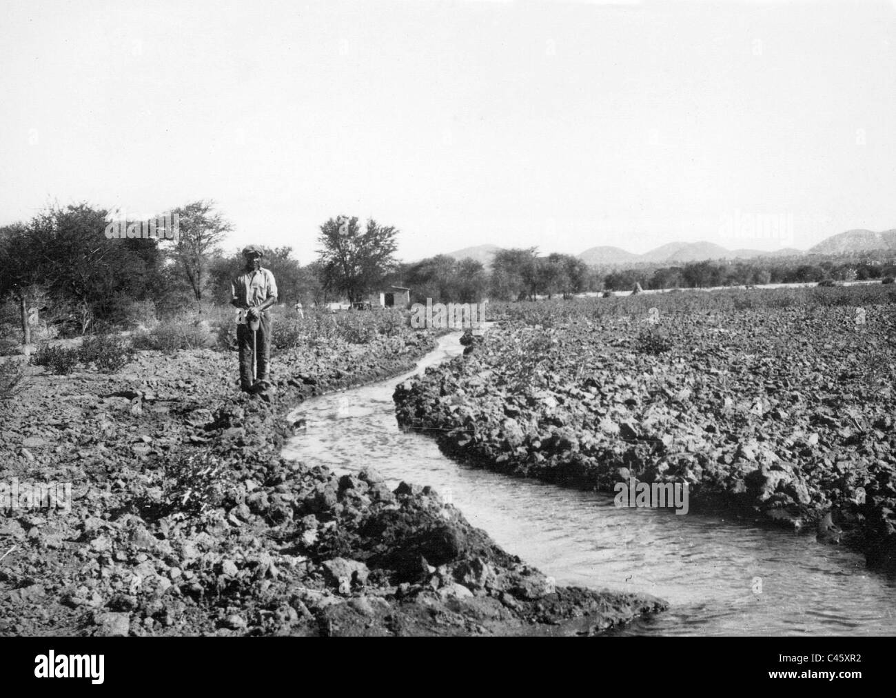 Agriculture in the former German Southwest Africa, 1935 Stock Photo