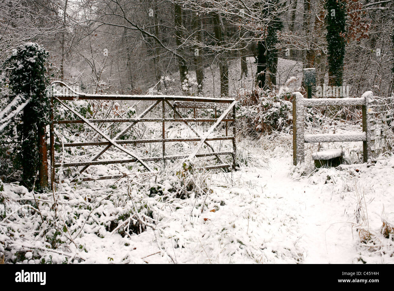 Snowy woodland scene with gate Stock Photo
