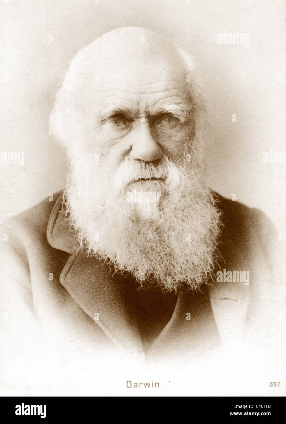 Charles Darwin Stock Photo