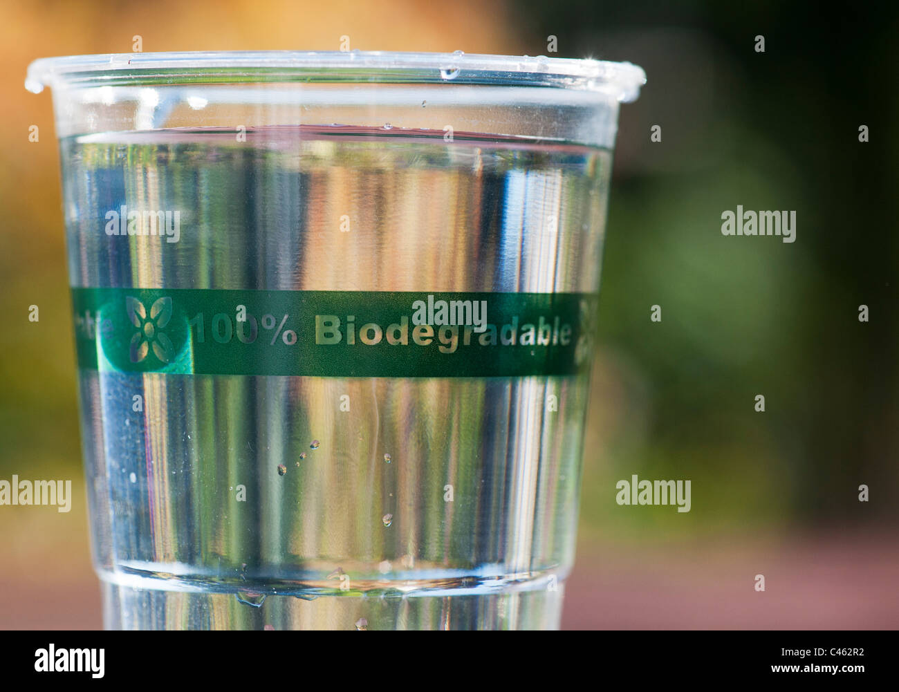 Biodegradable, Compostable plastic free cup made from plant 