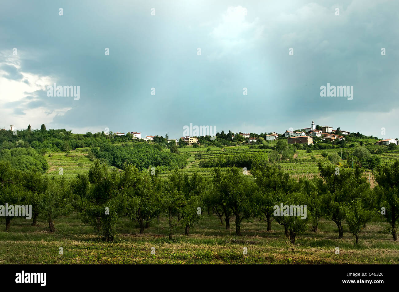 slovenian collio hills landscape Stock Photo
