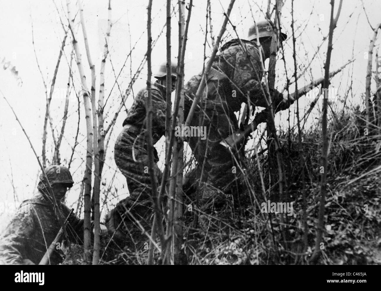 Waffen-SS soldiers during fighting in Budapest, 1944 Stock Photo ...