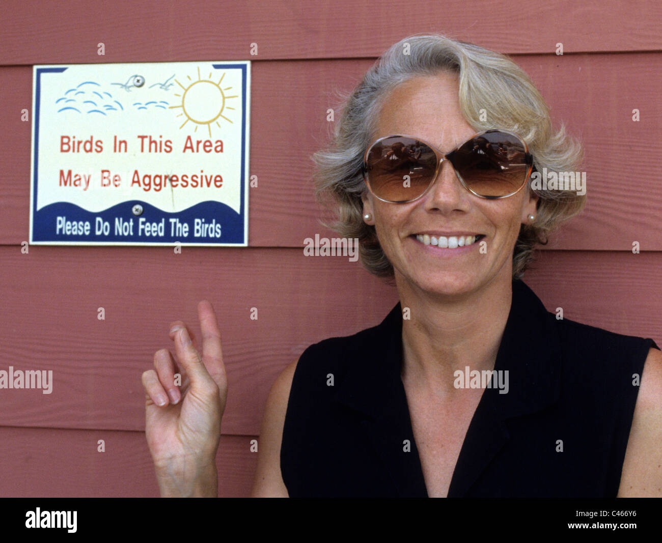 Don't Feed The Birds notice in Florida British Birds might think