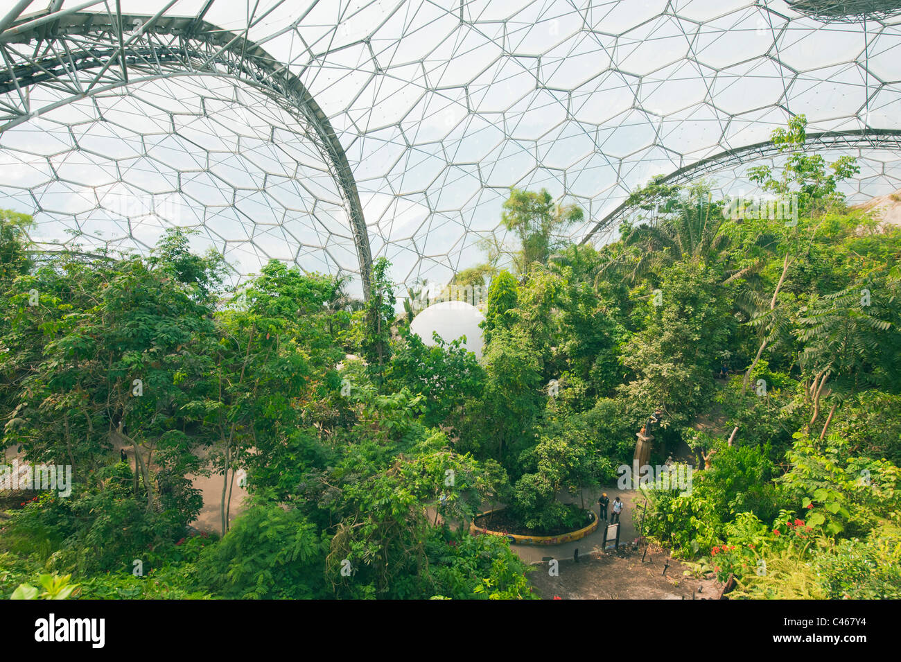 Rainforest Biome, The Eden Project, Cornwall, World's Largest