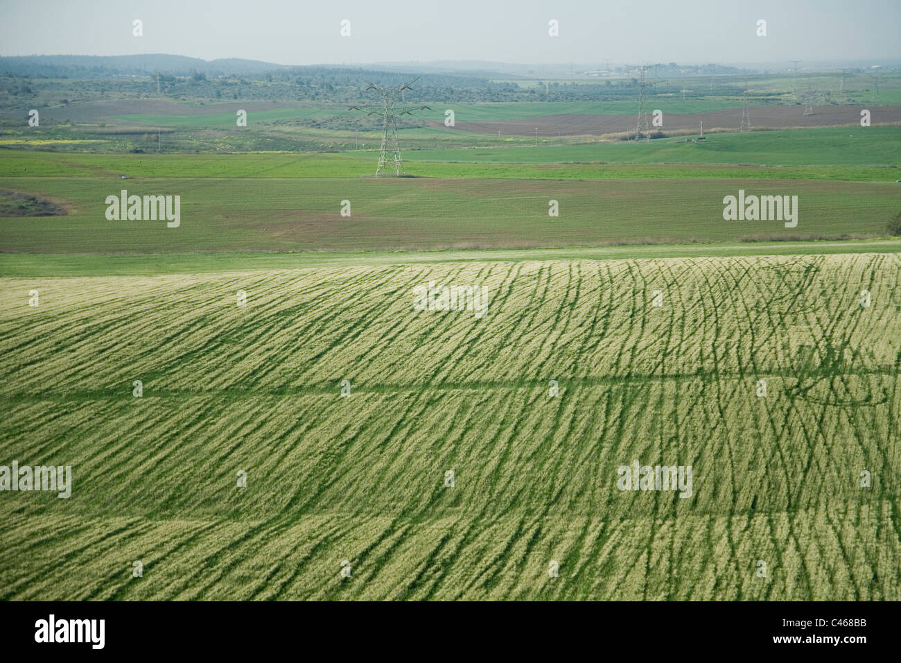 Aerial photograph of the agriculture fields of the northern Negev Stock