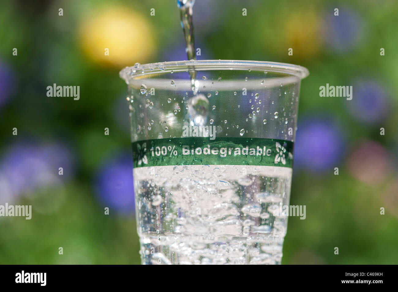 Biodegradable, Compostable plastic free cup made from plant material