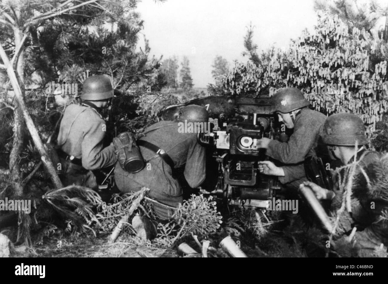 Second World War AntiTank Guns on the Eastern Front, 19411945 Stock