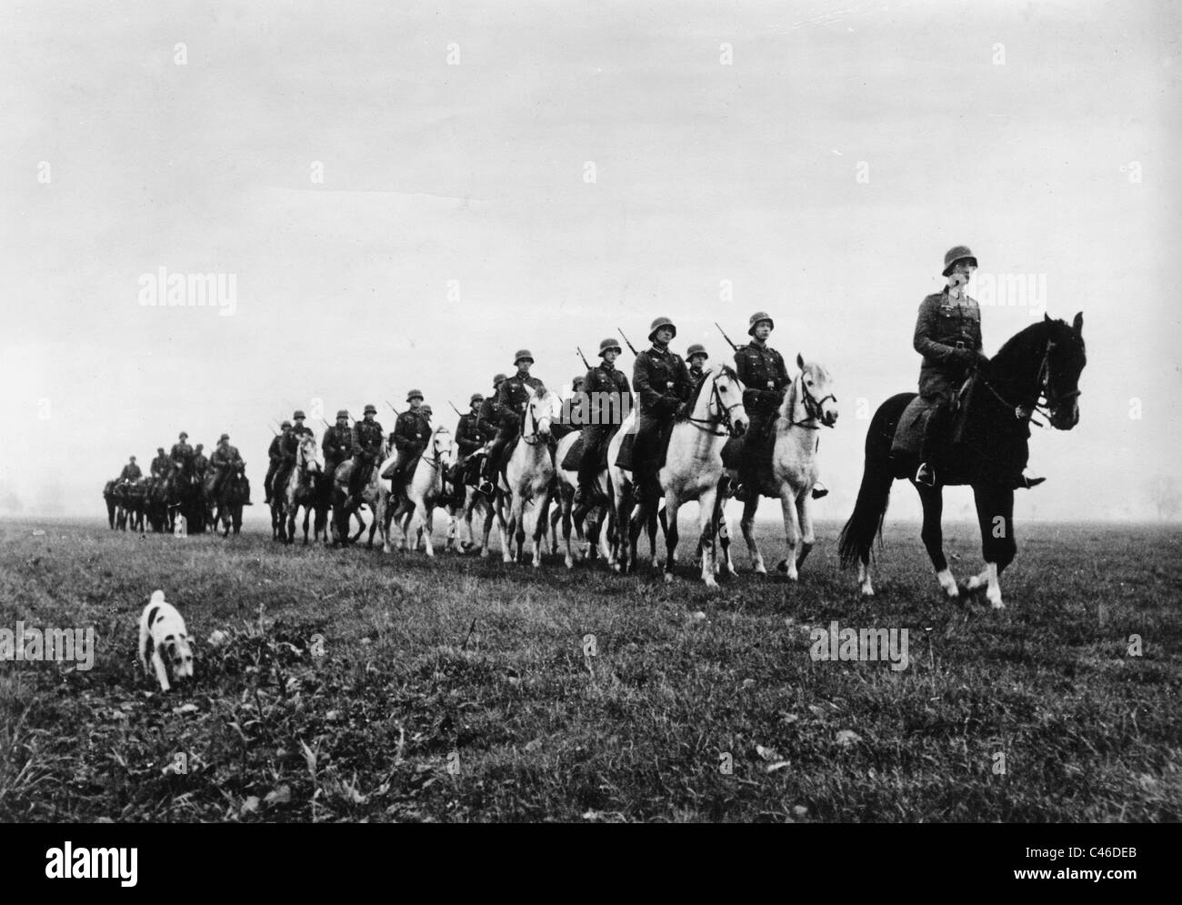 Second World War Horses used by German Troops Stock Photo Alamy