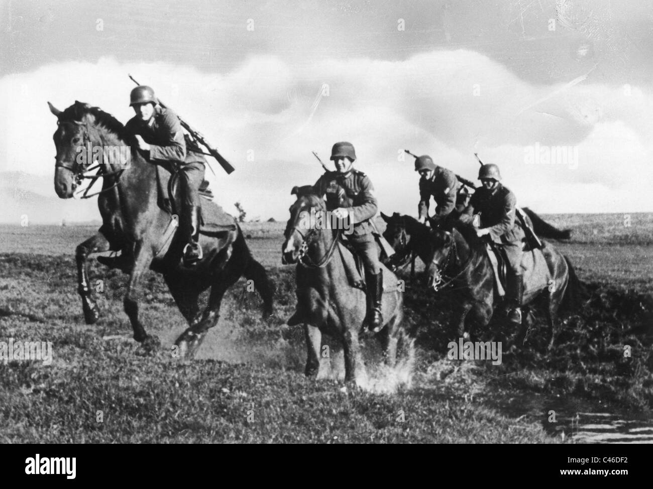 Second World War Horses used by German Troops Stock Photo Alamy