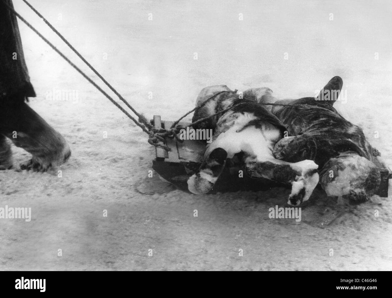 Refugees germany wwii hi-res stock photography and images - Alamy