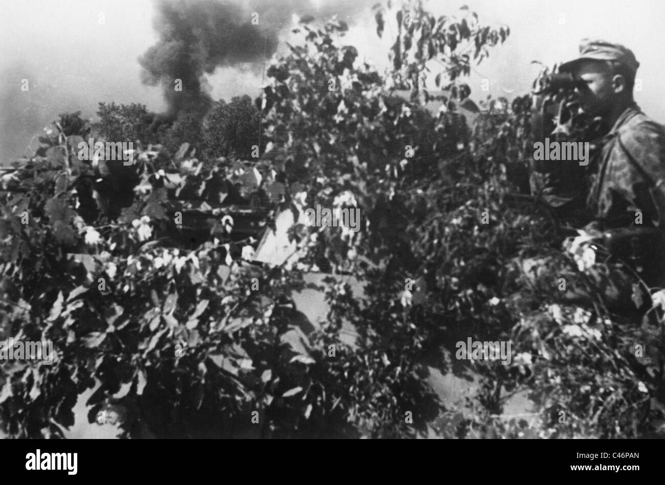 Wwii battle of caucasus soviet hi-res stock photography and