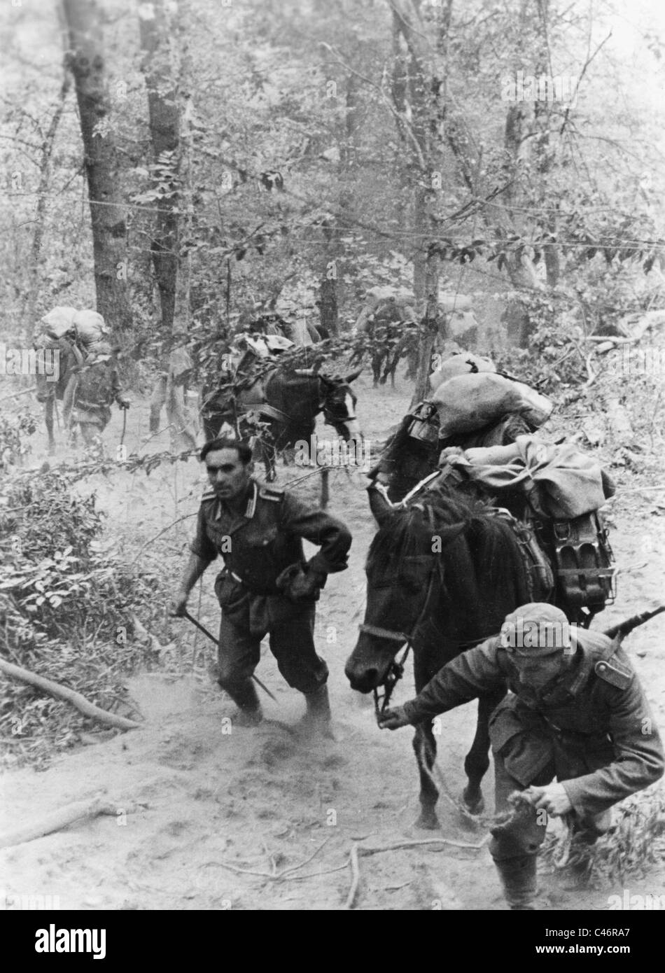 Wwii battle of caucasus hi-res stock photography and images - Alamy